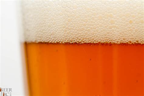 Powell Street Brewing Co. – Right Kind of Crazy Double IPA | Beer Me ...