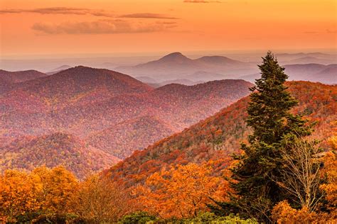 10 Best Places To See Fall Foliage In Georgia - Follow Me Away
