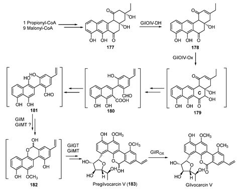 Biosynthesis of DNA-Alkylating Antitumor Natural Products