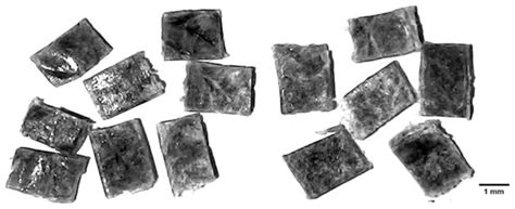 Green Composites Based on PLA and Cotton Fabric Waste: Preparation and ...