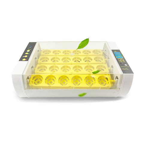 24 Egg Incubator Small Incubator With Automatic Egg Turning And ...