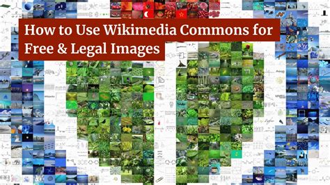 Image result for How to Use Wikimedia Commons