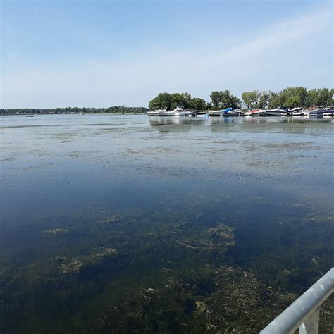 BRADDOCK BAY FISH AND WILDLIFE MANAGEMENT AREA (2026) All You Need to ...