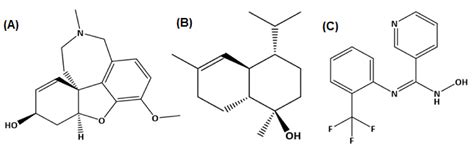 Phytochemical Profiling, In Vitro Biological Activities, and In Silico ...