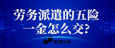 浙江各地五险一金最新基数、比例调整都在这里了！快来看看！