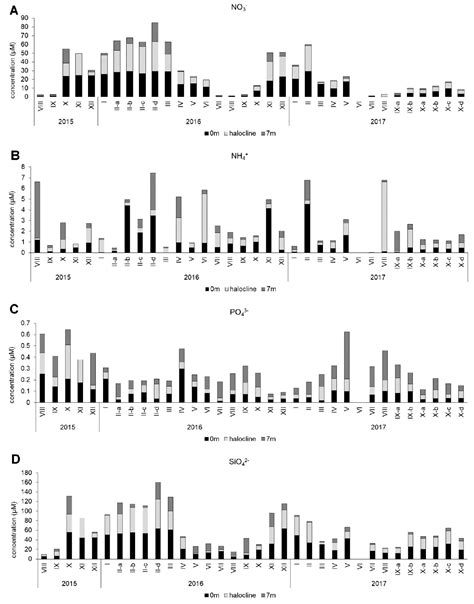 Phytoplankton Dynamics in the Middle Adriatic Estuary, with a Focus on ...