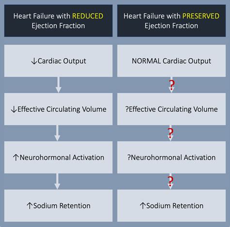 Animal Models Of Heart Failure With Preserved Ejection Fraction at Brock Clemes blog
