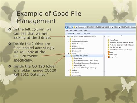 Example of File Management 的图像结果