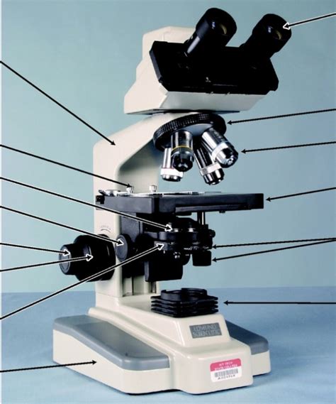 Image result for Video Microscope Play