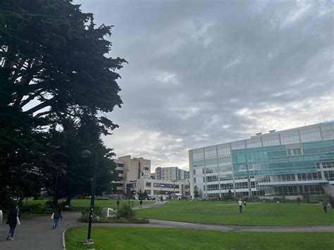 san francisco state university