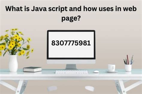 Image result for How to Use Java Scripts