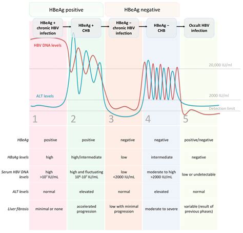 Hep B Titer Near Me Outlet | emergencydentistry.com