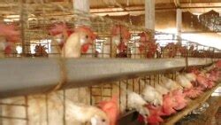 Amakuru ku Mugoroba