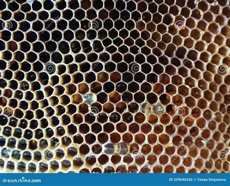 What's The Honeycomb Holes Called