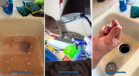 How to Fix Garbage Disposal 的图像结果