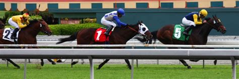 Horse Racing Tips - Sports Commentary