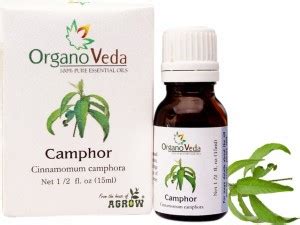 Organo Veda 100% Pure Essential Oils Camphor Cinnamomum camphora ...