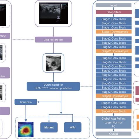 Deep Learning Workflow Data Acqusition Preprocessing 的图像结果