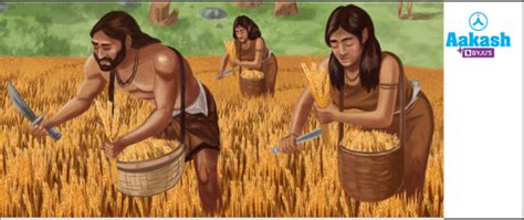 Agricultural Implements in Biology: Definition, Types and Importance | AESL