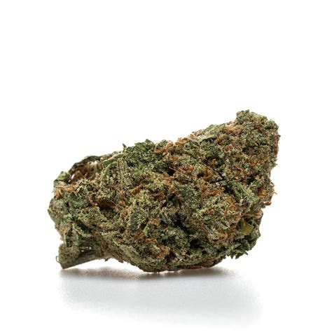 Image result for Alien Hydro