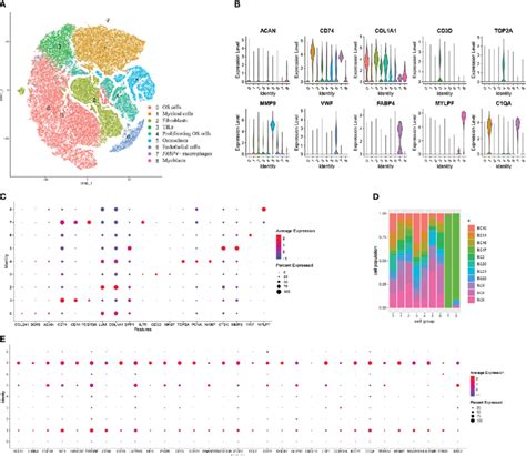Image result for Transcriptome Analysis