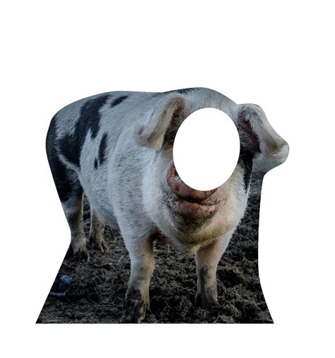 Buy Advanced Graphics Pig Cardboard Cutout Life Size Stand-In Online at ...
