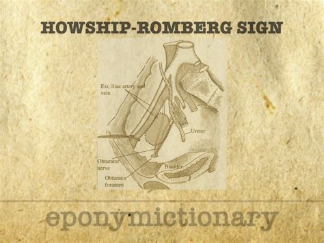 Medical Specialty Archives • LITFL