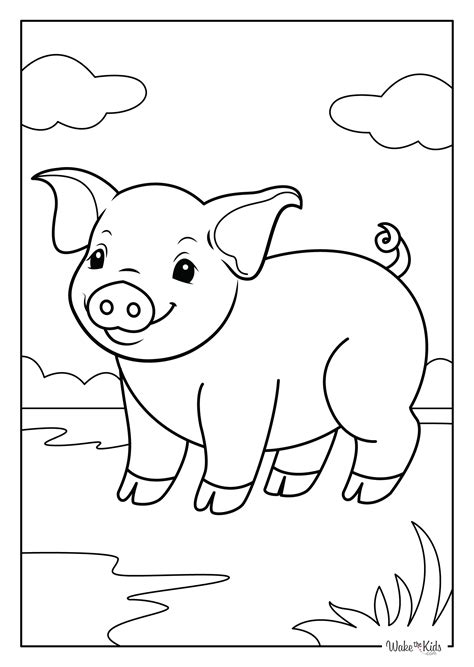 Pig Coloring Pages (Free Printable PDFs) | WakeTheKids