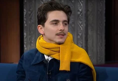 Timothée Chalamet Wore a Yellow Sweater to the Late Show and Joked ...