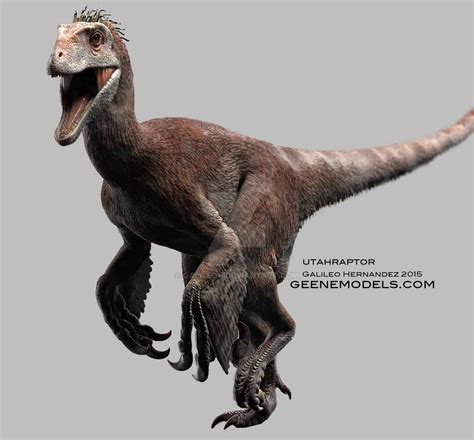 Utahraptor - Facts and Pictures