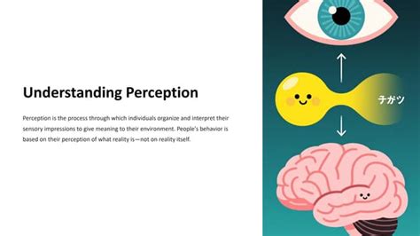 Image result for Understanding Perception