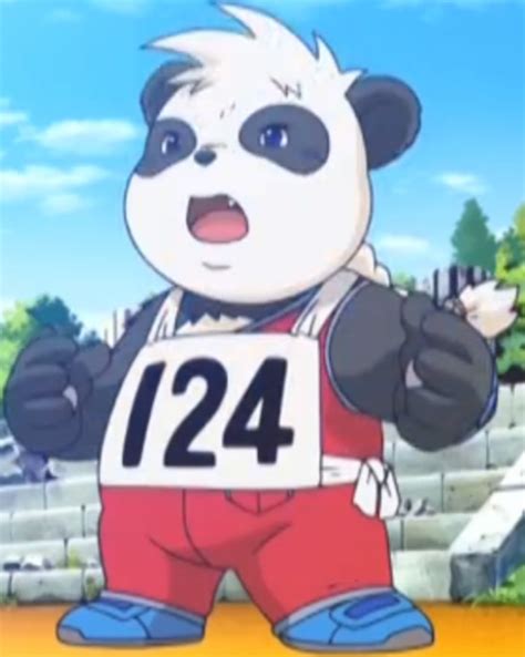 金牌熊猫28