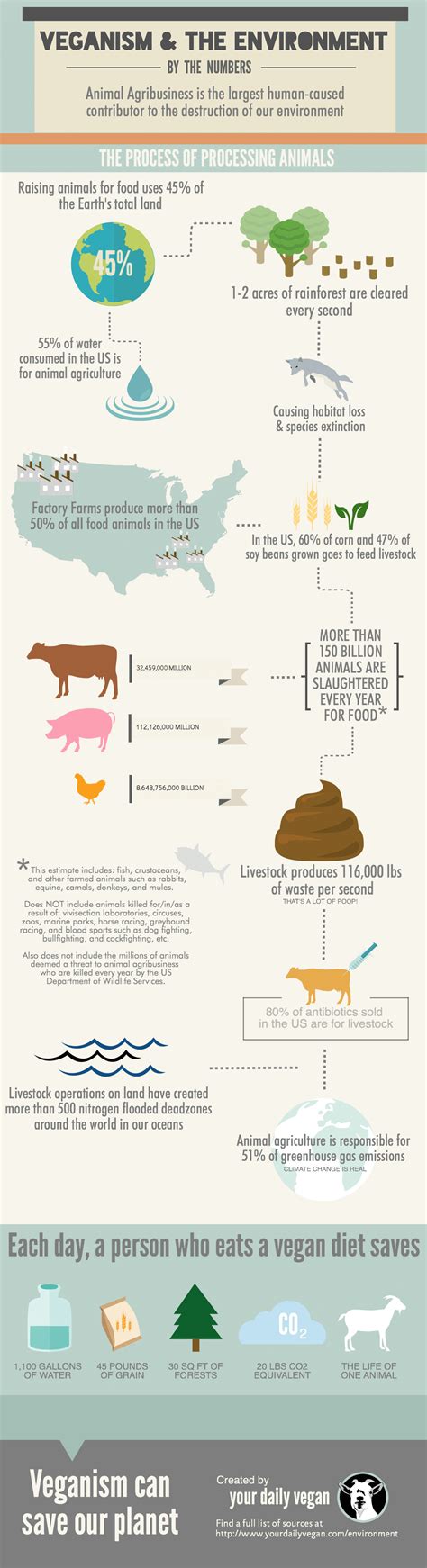 5 Ways The Impact Of Veganism On Environment Saves The Planet