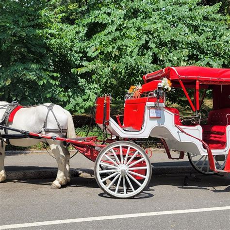 Buggyrideincentralpark - O que saber antes de ir (ATUALIZADO Maio 2024)