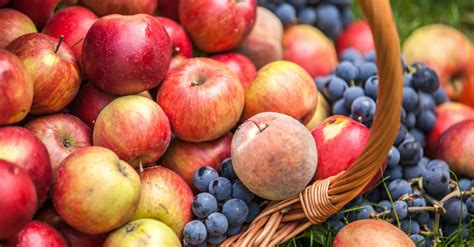 Fall Produce 的图像结果