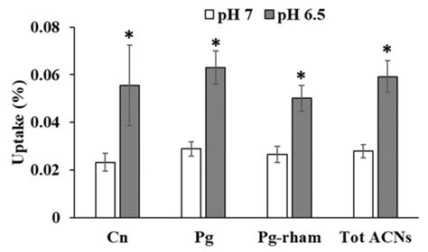 Factors Affecting Cellular Uptake of Anthocyanins: The Role of pH ...