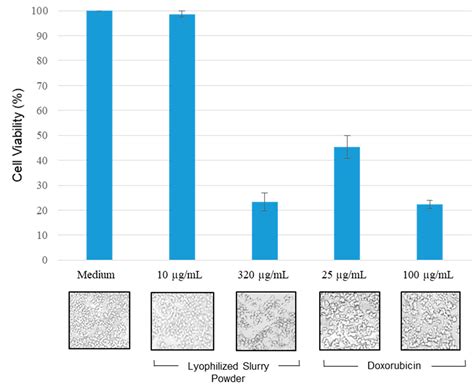 Effect of Extraction Methods on the Antioxidant Potential and ...