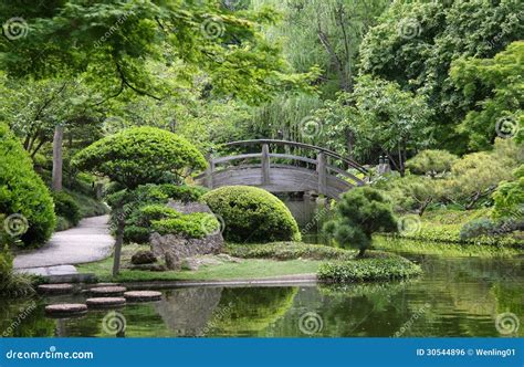 Bridge in Japanese garden stock photo. Image of gardening - 30544896
