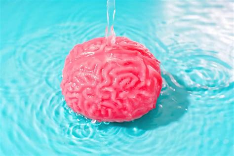 Wet Brain: Causes, Symptoms, and Treatment Options