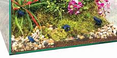 le exo terra exo terra habisphere terrarium de table lifestyle le exo terra exo terra habisphere terrarium de table lifestyle