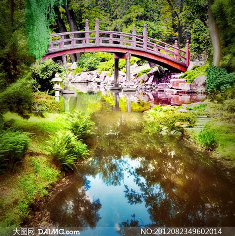 小桥流水与绿色植物摄影高清图片_大图网图片素材