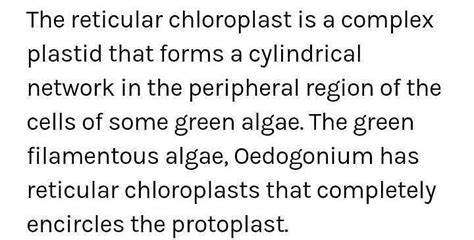 Reticulate chloroplast occur in :-a)Ulothrixb)Oedogoniumc)Spirogyrad ...