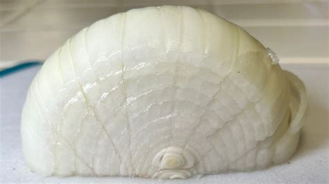 How to Dice an Onion