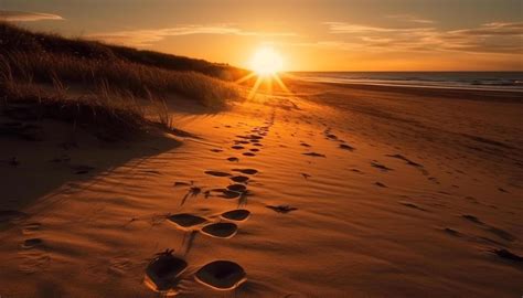 Walk-In Nature 的图像结果