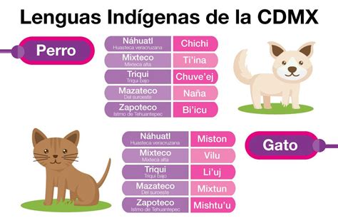 Discover Names of Indigenous Languages in Mexico