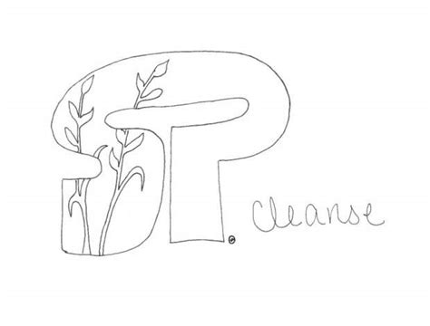 Image result for Standard Process Sp Cleanse