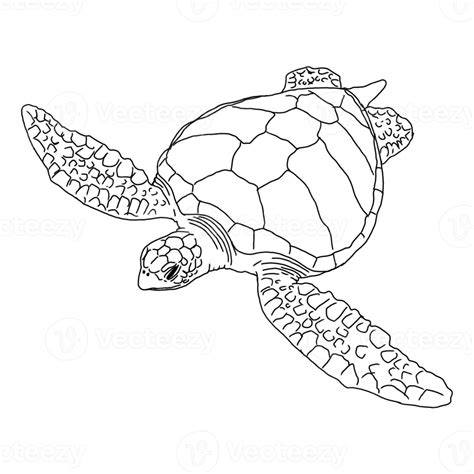 Image result for Slow Computer to Fast Computer