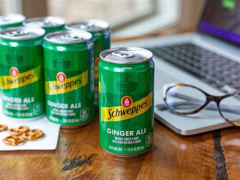 Schweppes Ginger Ale 6-Pack Mini Cans Just $2 At Kroger - iHeartKroger