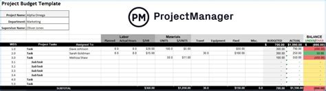 Image result for Program Management Budget Example