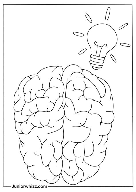 Human Brain Coloring Pages with Book (12 Printable PDF)